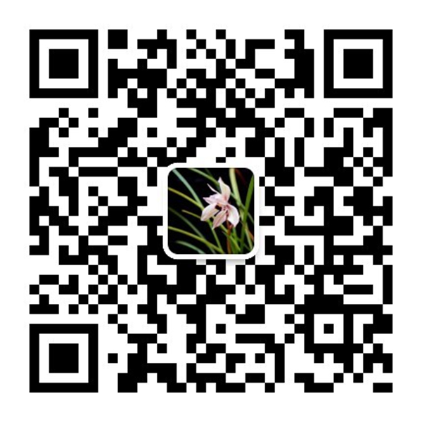 qrcode_for_gh_33a2a5c492ce_430.jpg